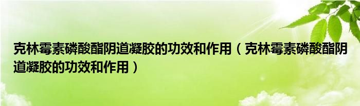 克林霉素磷酸酯阴道凝胶的功效和作用（克林霉素磷酸酯阴道凝胶的功效和作用）