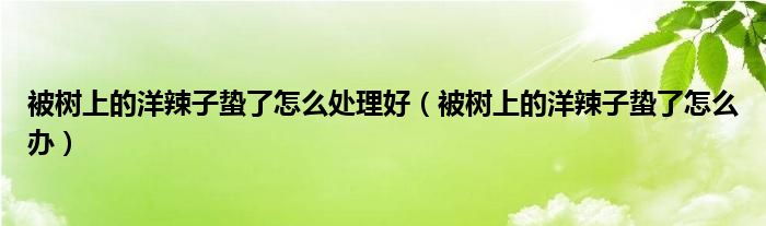 被树上的洋辣子蛰了怎么处理好（被树上的洋辣子蛰了怎么办）