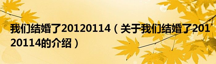 我们结婚了20120114（关于我们结婚了20120114的介绍）