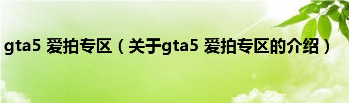 gta5 爱拍专区（关于gta5 爱拍专区的介绍）