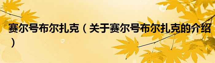 赛尔号布尔扎克（关于赛尔号布尔扎克的介绍）