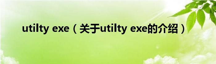 utilty exe（关于utilty exe的介绍）