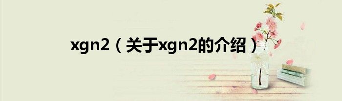 xgn2（关于xgn2的介绍）