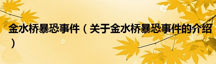 金水桥暴恐事件（关于金水桥暴恐事件的介绍）