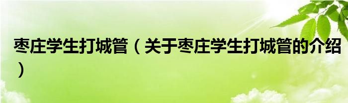 枣庄学生打城管（关于枣庄学生打城管的介绍）