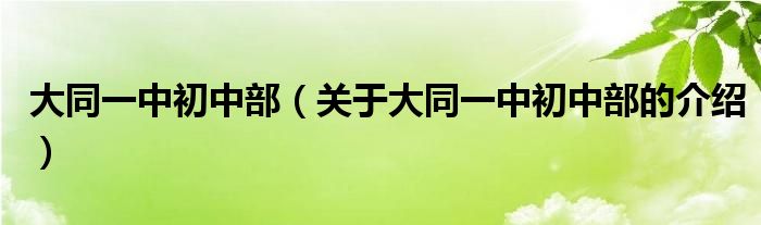 大同一中初中部（关于大同一中初中部的介绍）