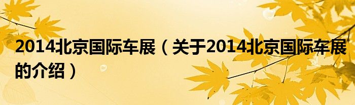 2014北京国际车展（关于2014北京国际车展的介绍）