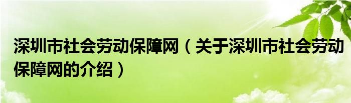 深圳市社会劳动保障网（关于深圳市社会劳动保障网的介绍）