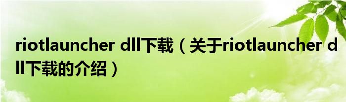 riotlauncher dll下载（关于riotlauncher dll下载的介绍）