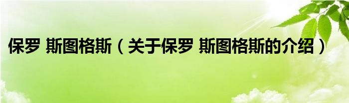 保罗 斯图格斯（关于保罗 斯图格斯的介绍）