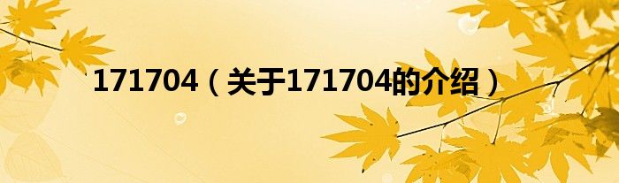 171704（关于171704的介绍）