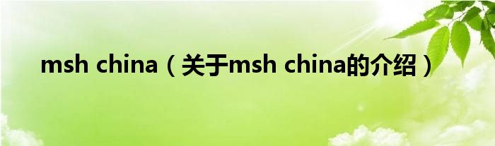 msh china（关于msh china的介绍）