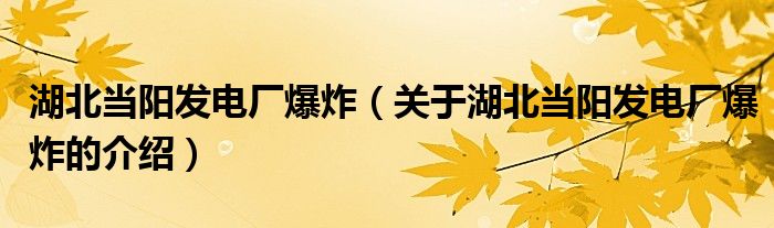 湖北当阳发电厂爆炸（关于湖北当阳发电厂爆炸的介绍）