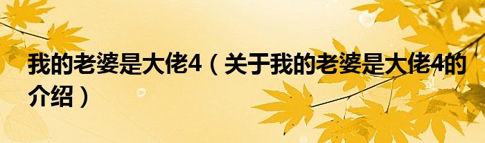 我的老婆是大佬4（关于我的老婆是大佬4的介绍）