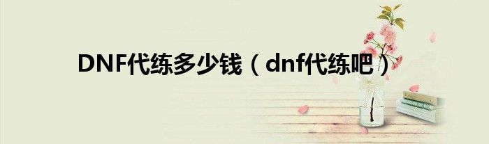 DNF代练多少钱（dnf代练吧）