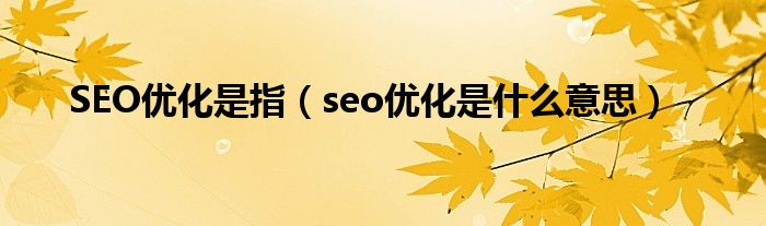 SEO优化是指（seo优化是什么意思）