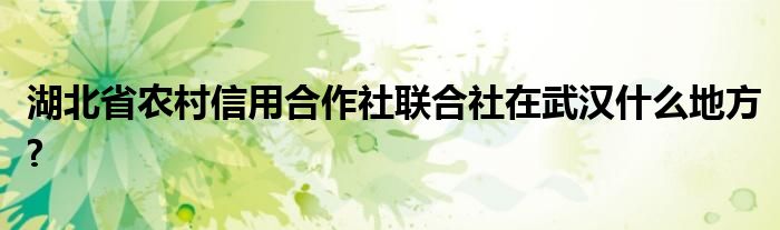 湖北省农村信用合作社联合社在武汉什么地方?