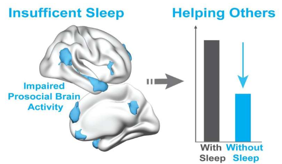 睡眠不足使我们不那么慷慨