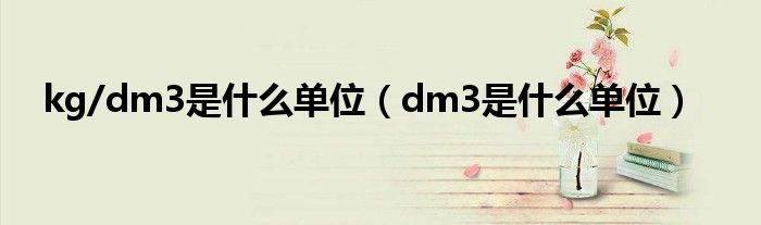 kg/dm3是什么单位（dm3是什么单位）