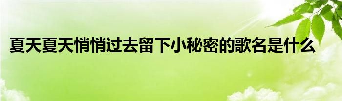 夏天夏天悄悄过去留下小秘密的歌名是什么