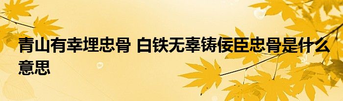 青山有幸埋忠骨 白铁无辜铸佞臣忠骨是什么意思