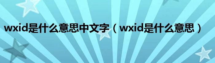 wxid是什么意思中文字（wxid是什么意思）