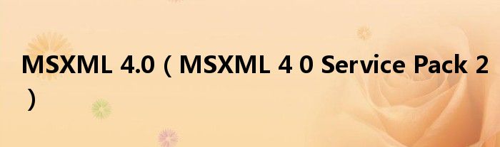 MSXML 4.0（MSXML 4 0 Service Pack 2）