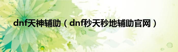 dnf天神辅助（dnf秒天秒地辅助官网）