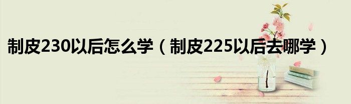 制皮230以后怎么学（制皮225以后去哪学）