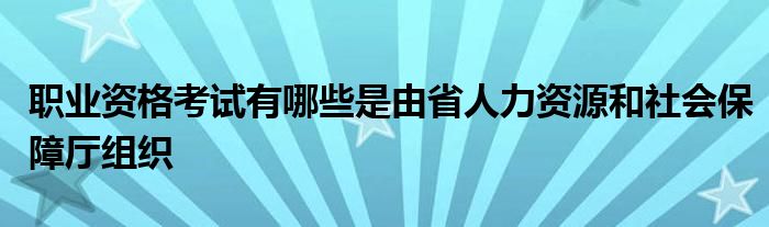 职业资格考试有哪些是由省人力资源和社会保障厅组织