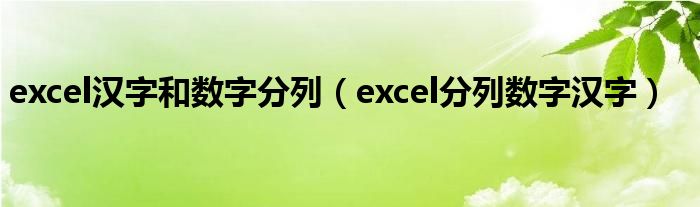 excel汉字和数字分列（excel分列数字汉字）