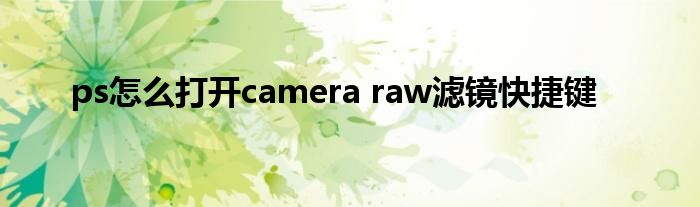 ps怎么打开camera raw滤镜快捷键