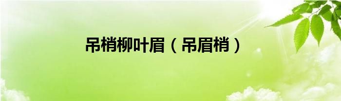 吊梢柳叶眉（吊眉梢）