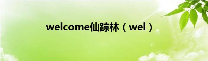 welcome仙踪林（wel）