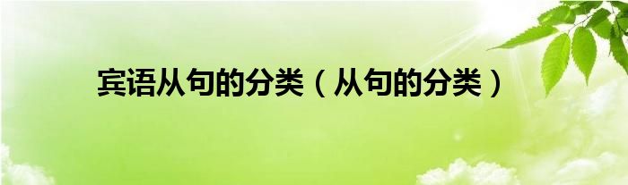 宾语从句的分类（从句的分类）