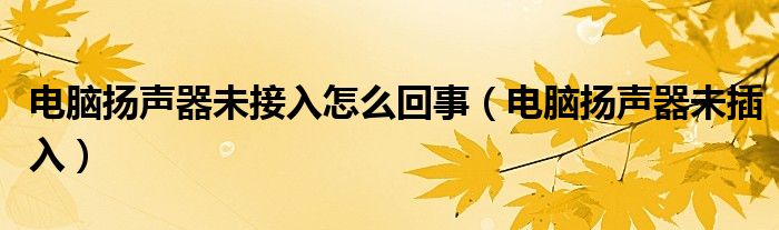 电脑扬声器未接入怎么回事（电脑扬声器未插入）