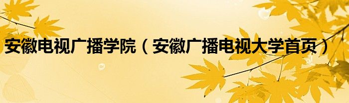 安徽电视广播学院（安徽广播电视大学首页）