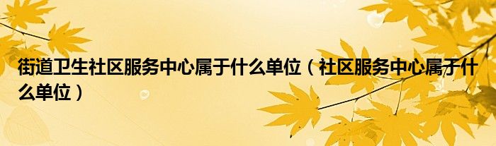 街道卫生社区服务中心属于什么单位（社区服务中心属于什么单位）