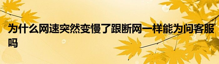 为什么网速突然变慢了跟断网一样能为问客服吗