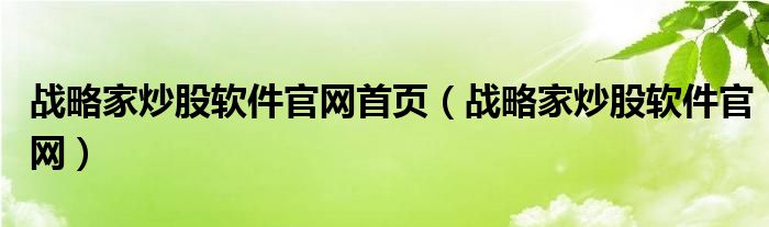 战略家炒股软件官网首页（战略家炒股软件官网）