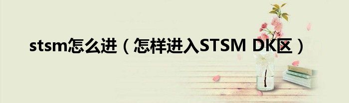 stsm怎么进（怎样进入STSM DK区）