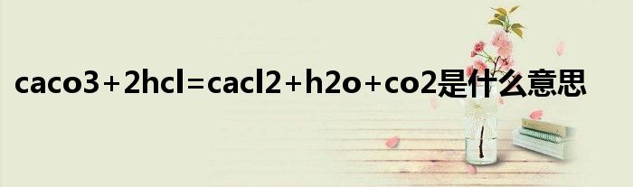 caco3+2hcl=cacl2+h2o+co2是什么意思