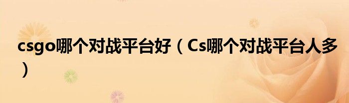 csgo哪个对战平台好（Cs哪个对战平台人多）