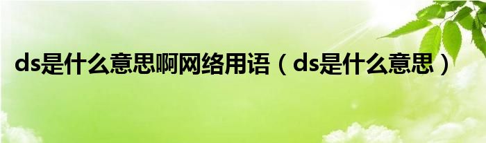 ds是什么意思啊网络用语（ds是什么意思）