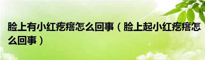 脸上有小红疙瘩怎么回事（脸上起小红疙瘩怎么回事）