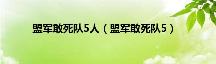 盟军敢死队5人（盟军敢死队5）