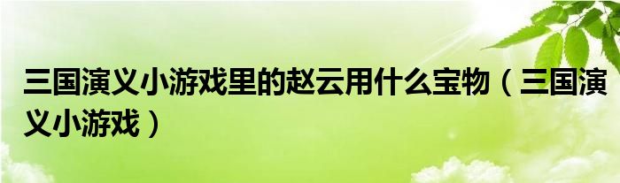 三国演义小游戏里的赵云用什么宝物（三国演义小游戏）