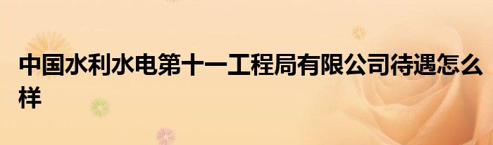 中国水利水电第十一工程局有限公司待遇怎么样