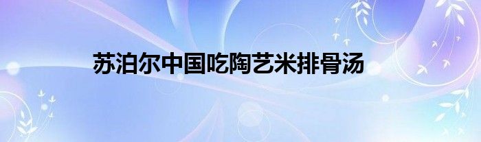 苏泊尔中国吃陶艺米排骨汤