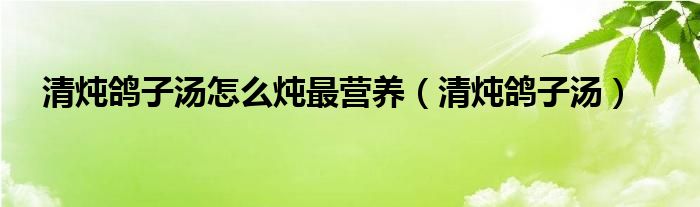 清炖鸽子汤怎么炖最营养（清炖鸽子汤）